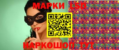 стаф Нальчик