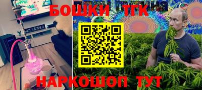 стаф Нальчик