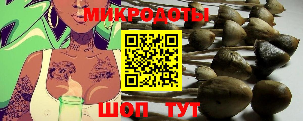 Алатырь  Псилоцибиновые грибы MAGIC MUSHROOMS  Вход с VPN 