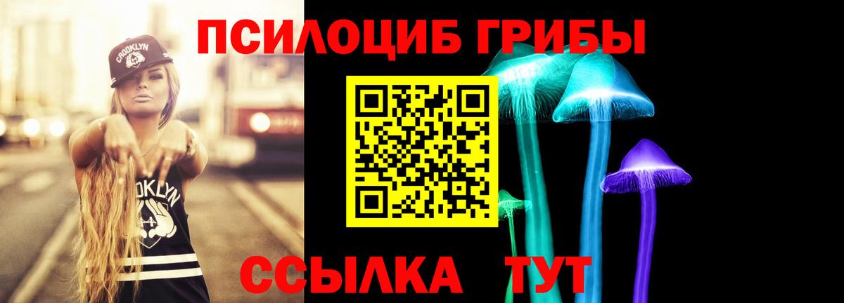Галлюциногенные грибы Magic Shrooms Алатырь